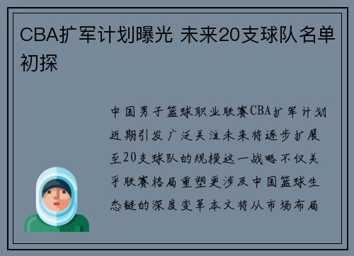CBA扩军计划曝光 未来20支球队名单初探
