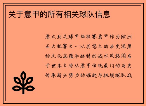 关于意甲的所有相关球队信息